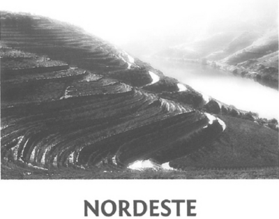 NORDESTE