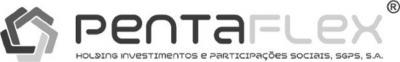 PENTAFLEX - HOLDING INVESTIMENTOS E PARTICIPAÇÕES SOCIAIS, SGPS, S.A.