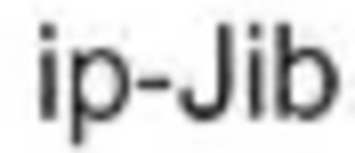 IP-JIB