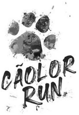 CÃOLOR RUN