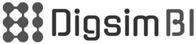DIGSIM BI