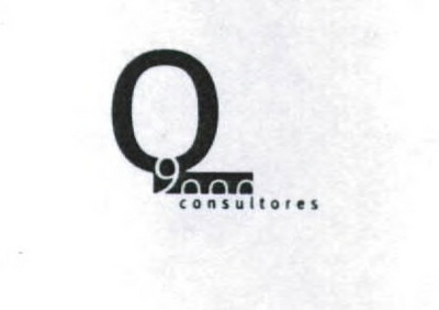 Q 9000 CONSULTORES