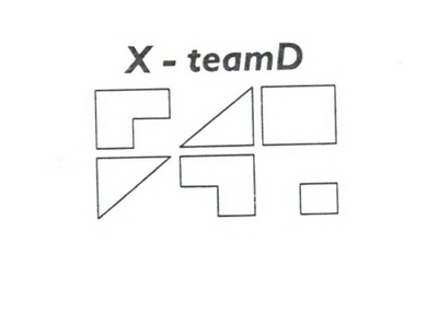 X - TEAM D