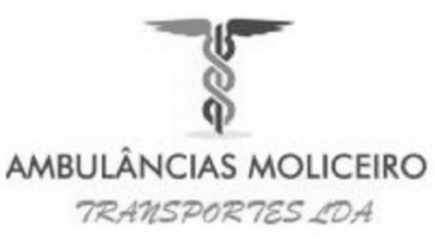 AMBULÂNCIAS MOLICEIRO, TRANSPORTES LDA
