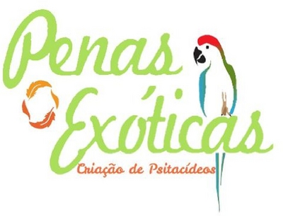 PENAS EXÓTICAS - CRIAÇÃO DE PSITACÍDEOS