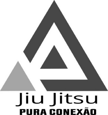 JIU JITSU PURA CONEXÃO