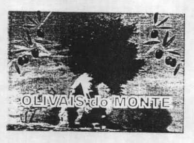 OLIVAIS DO MONTE