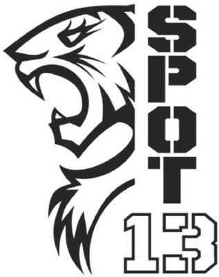SPOT13