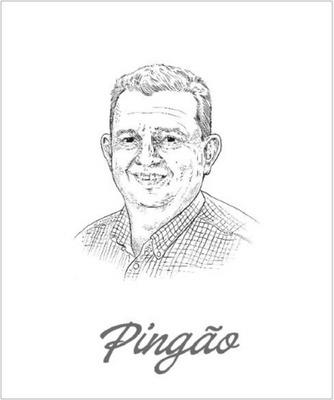 PINGÃO