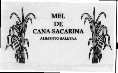 MEL DE CANA SACARINA ALIMENTO SALUTAR