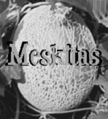 MESKITAS