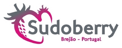 SUDOBERRY BREJÃO- PORTUGAL