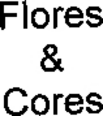 FLORES & CORES