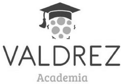 ACADEMIA VALDREZ