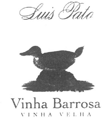 LUIS PATO VINHA BARROSA