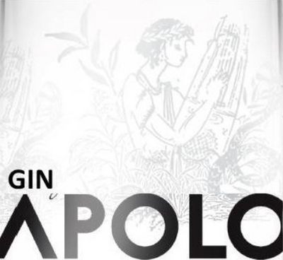 GIN APOLO
