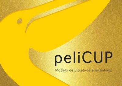 PELICUP MODELO DE OBJETIVOS E INCENTIVOS