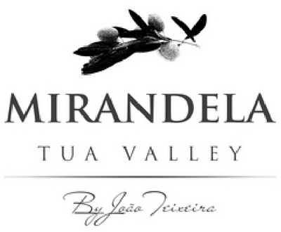 MIRANDELA - TUA VALLEY BY JOÃO TEIXEIRA