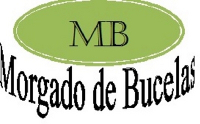 MORGADO DE BUCELAS